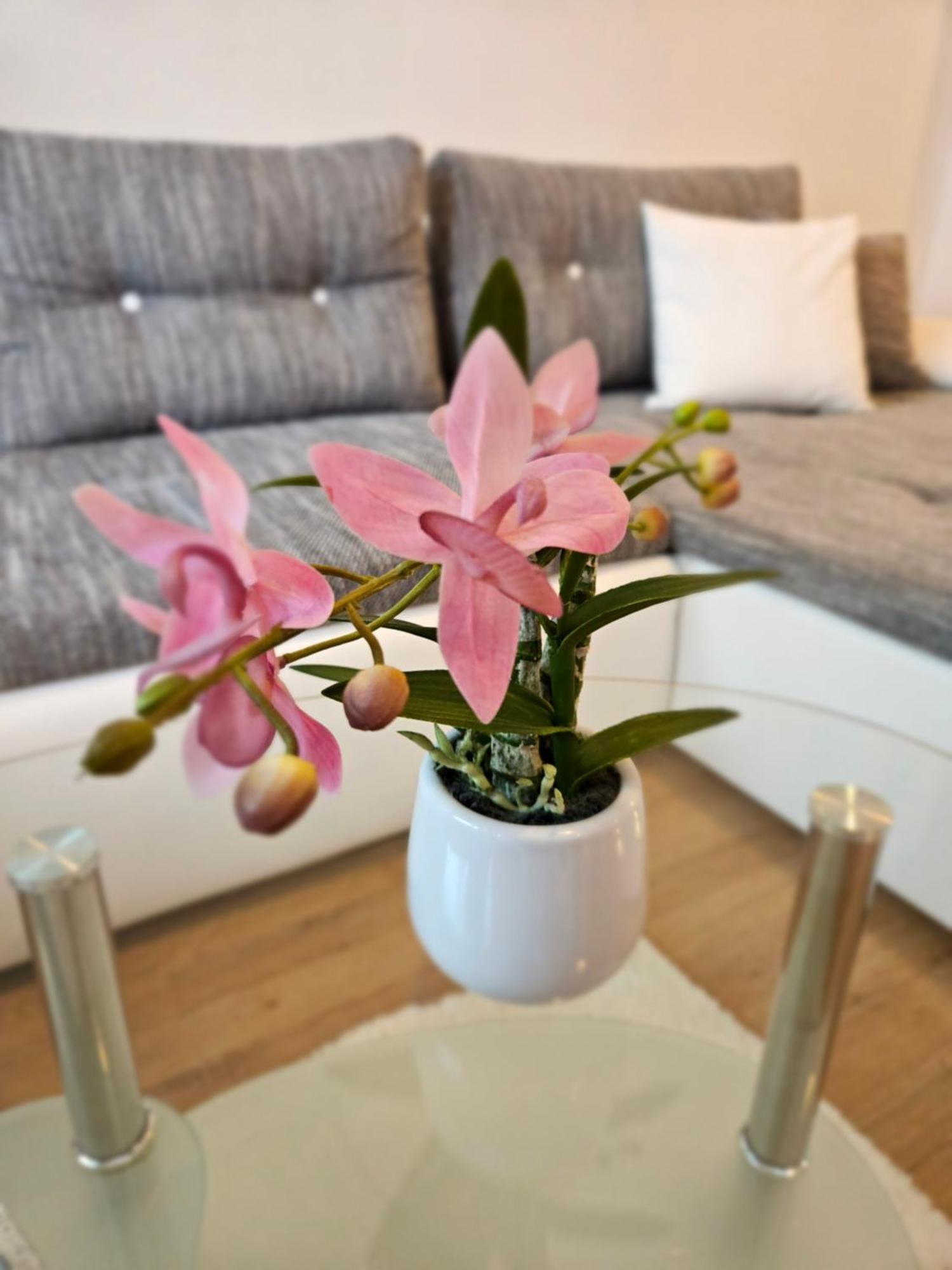 Apartment Zoya Kranjska Gora Exteriér fotografie