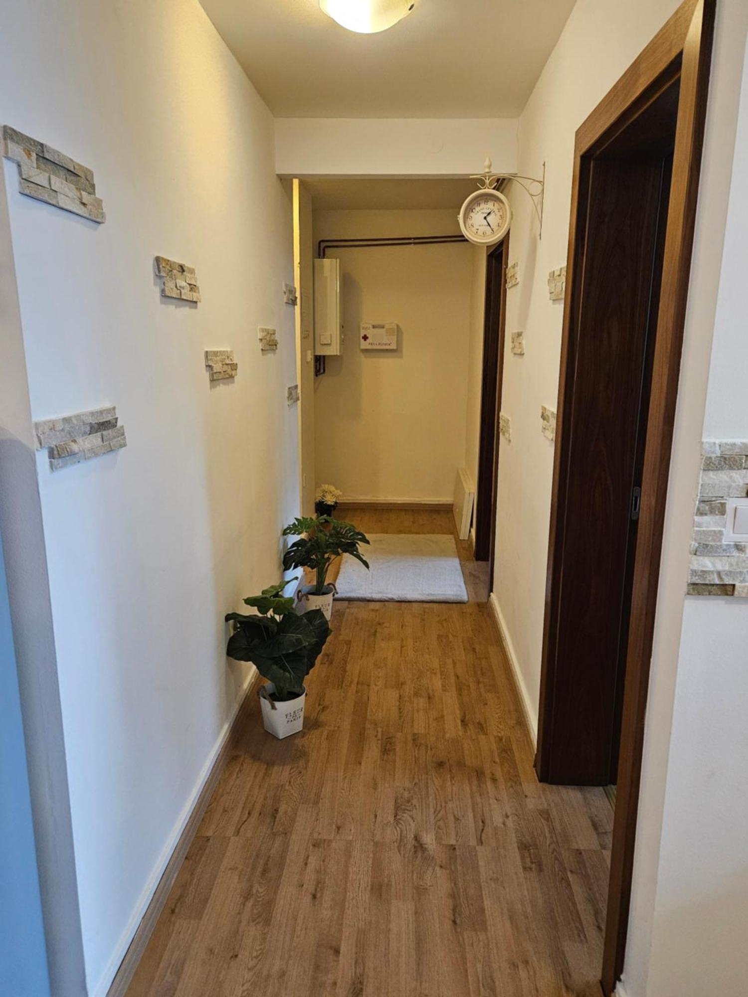 Apartment Zoya Kranjska Gora Exteriér fotografie